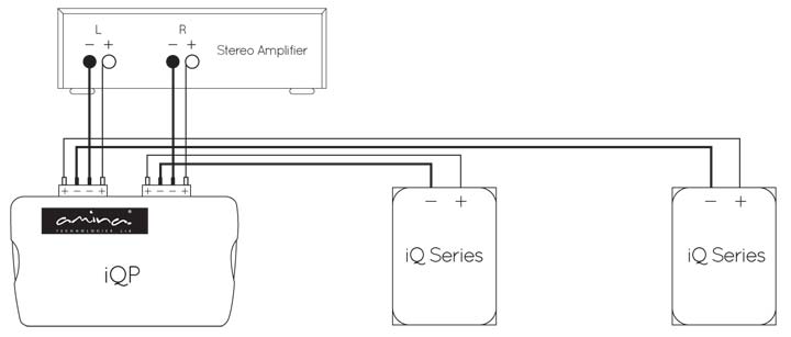 Filtre Amina iQP connexions